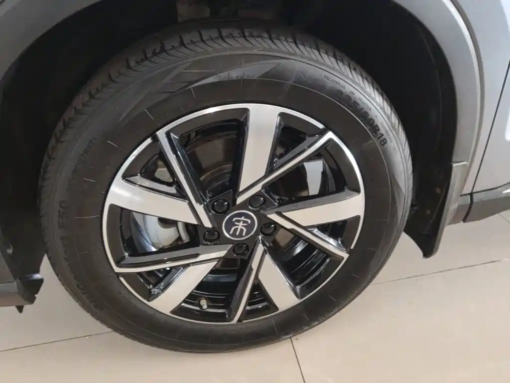 BYD Pro New Energy — фото 23