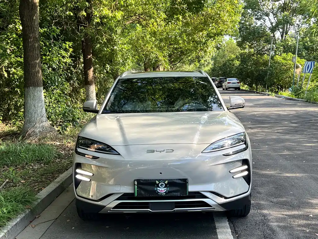 BYD PLUS New Energy — фото 2