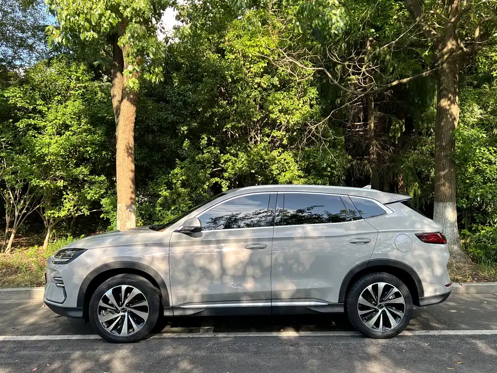 BYD PLUS New Energy — фото 4