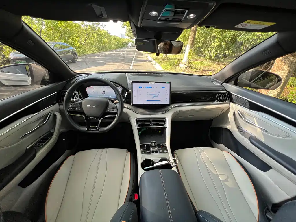 BYD PLUS New Energy — фото 10