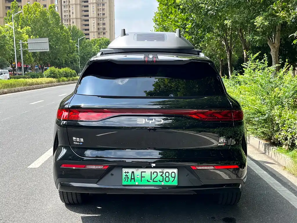 BYD Tang L — фото 5