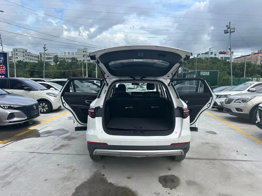 BYD Pro — фото 10