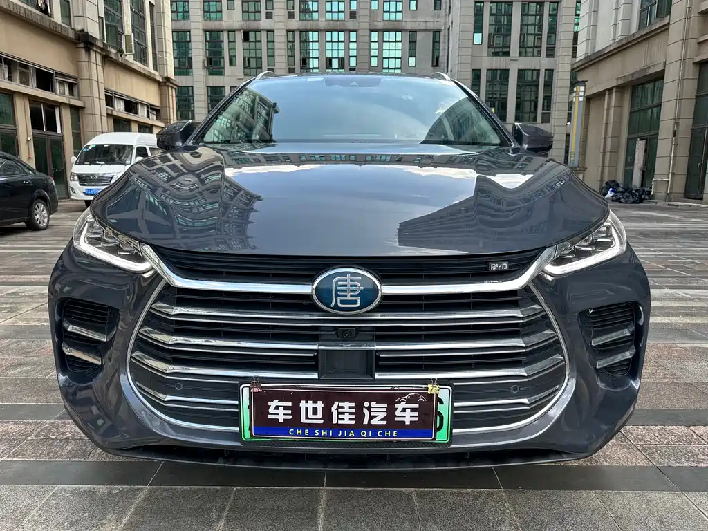 BYD Tang New Energy — фото 2