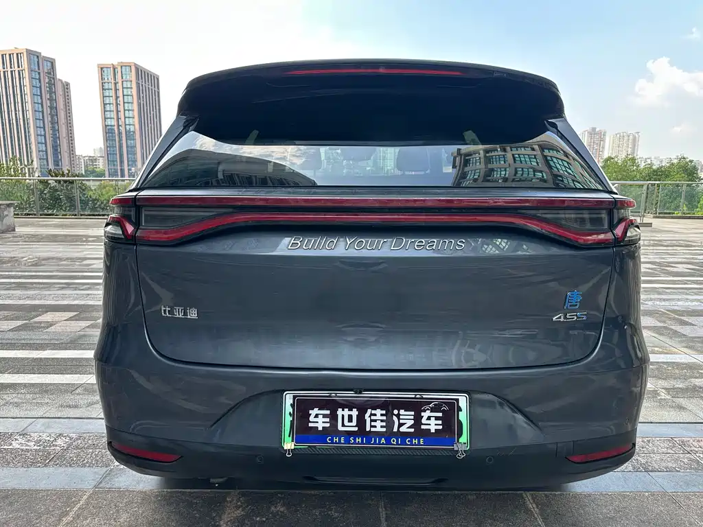 BYD Tang New Energy — фото 5