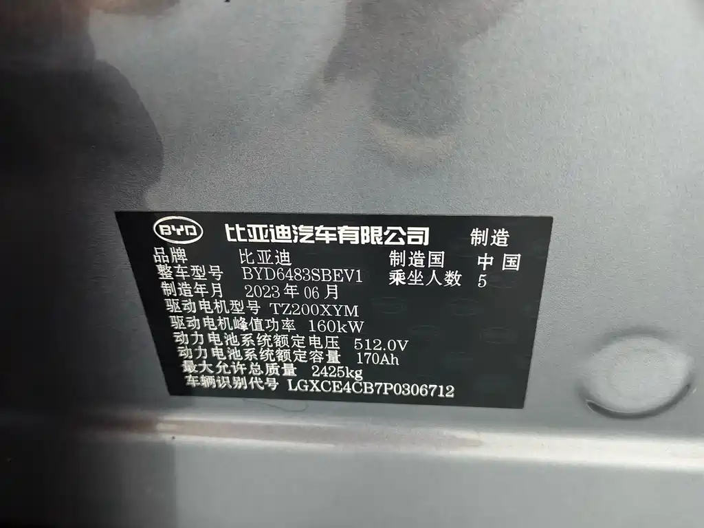 BYD PLUS New Energy — фото 4