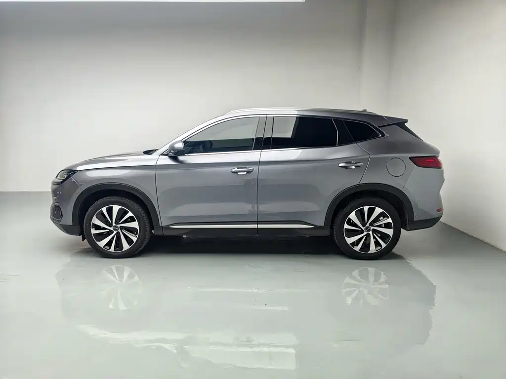 BYD PLUS New Energy — фото 5
