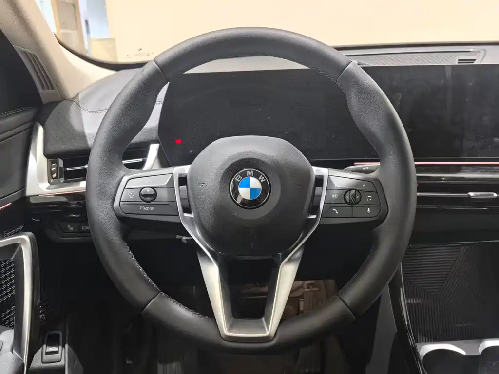BMW X2 (Import) — фото 10