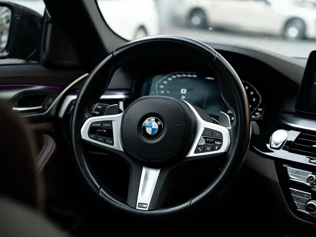 BMW 5 Series (Import) — фото 10