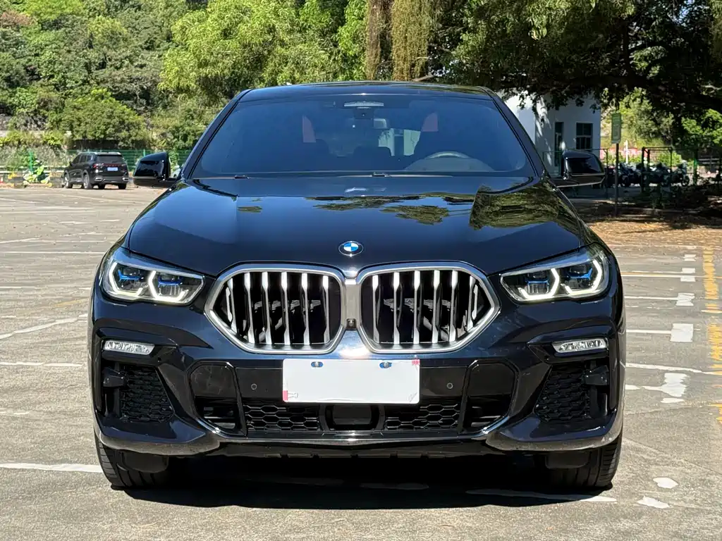 BMW X6 — фото 2