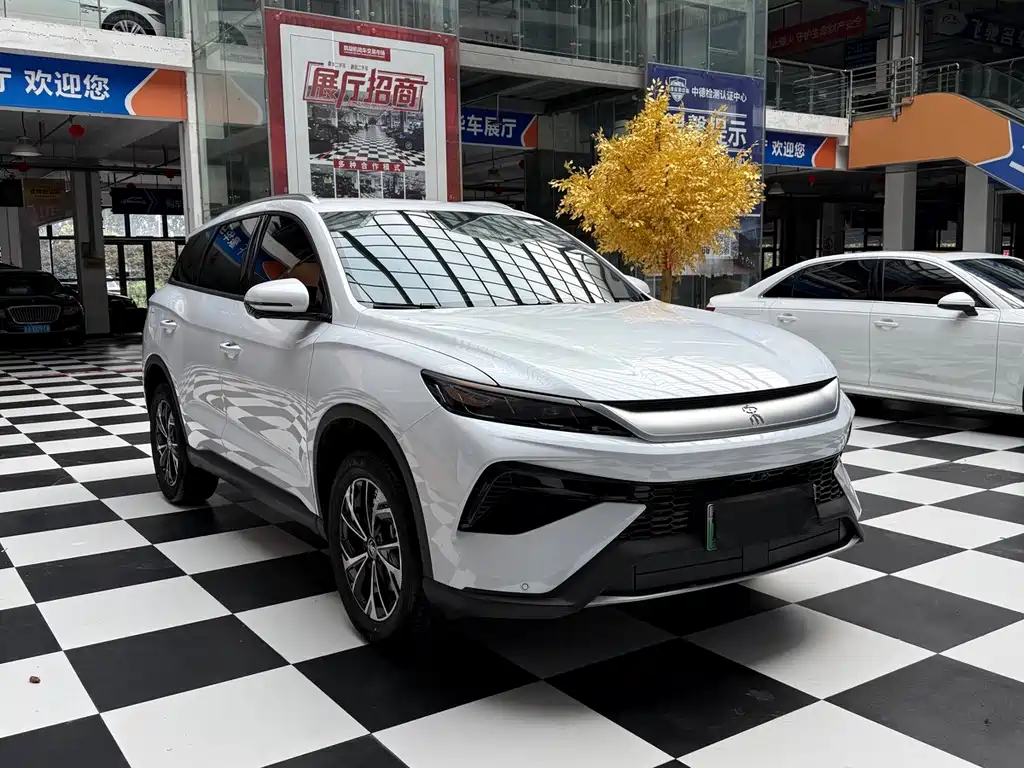 BYD Pro New Energy — фото 3