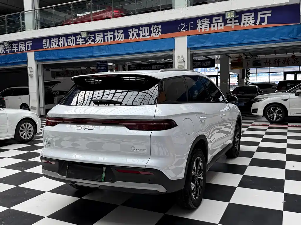 BYD Pro New Energy — фото 4