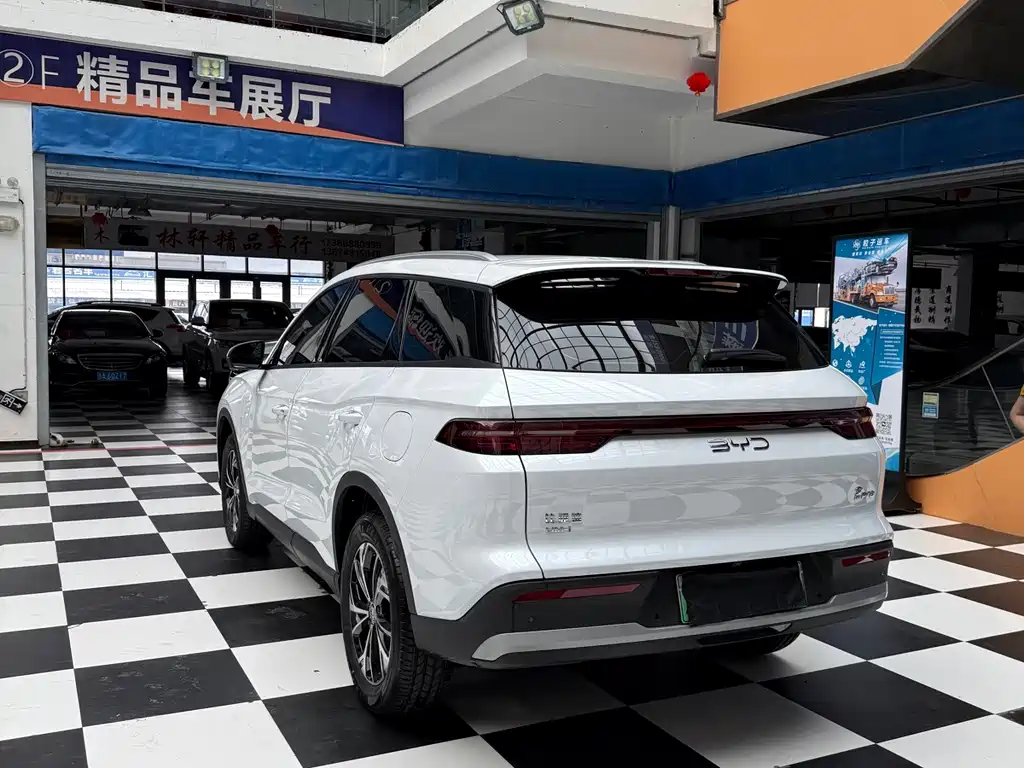 BYD Pro New Energy — фото 6