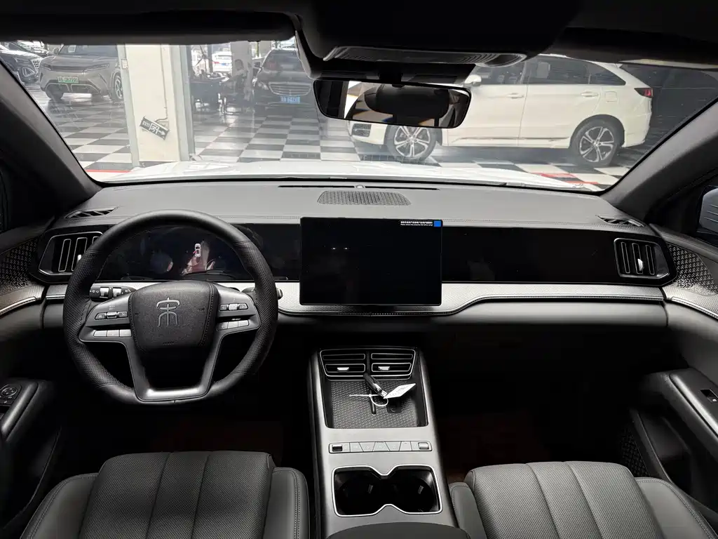 BYD Pro New Energy — фото 8