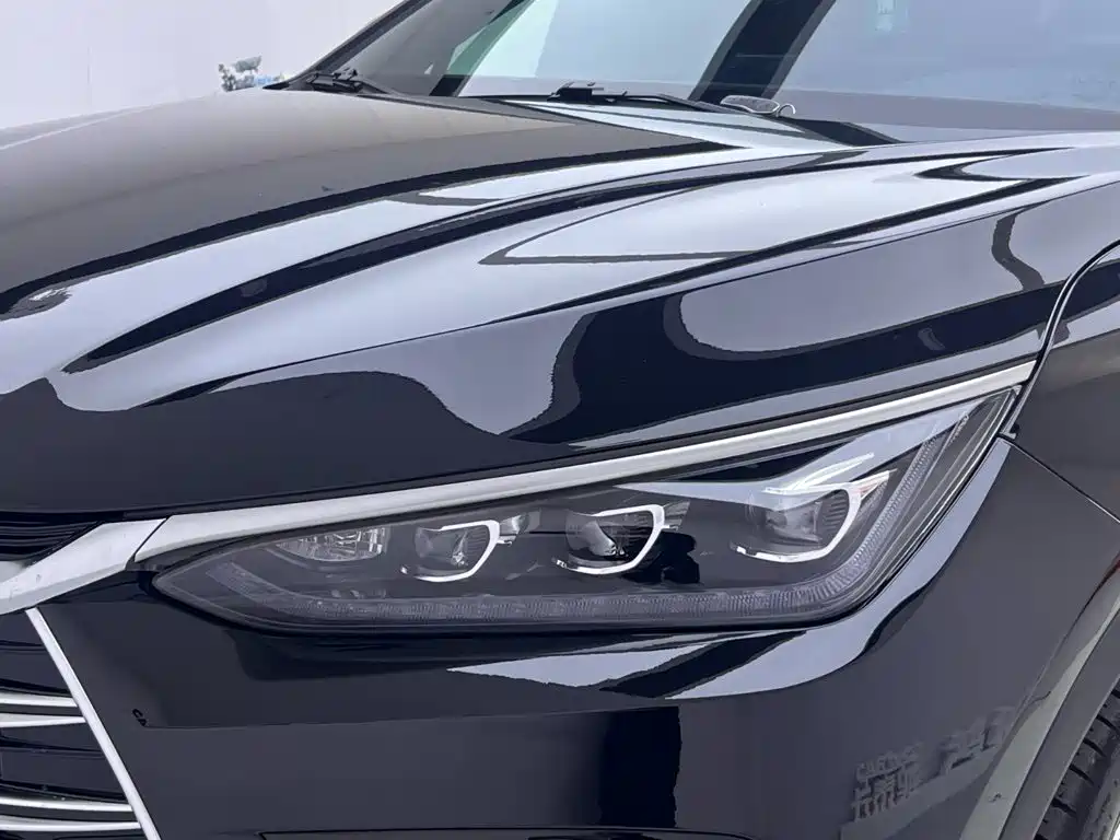 BYD Tang New Energy — фото 13