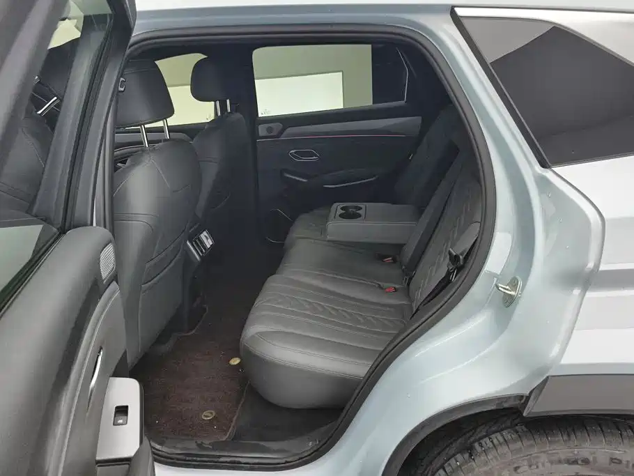 BYD L DM-i — фото 11