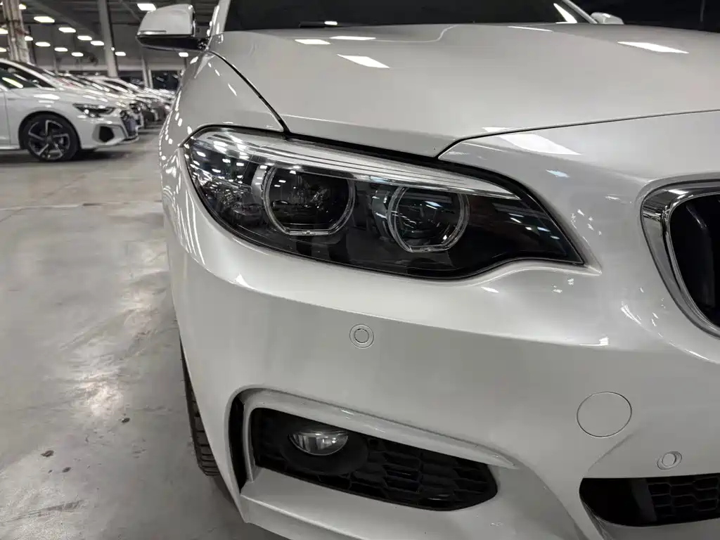 BMW 2 Series (Import) — фото 14