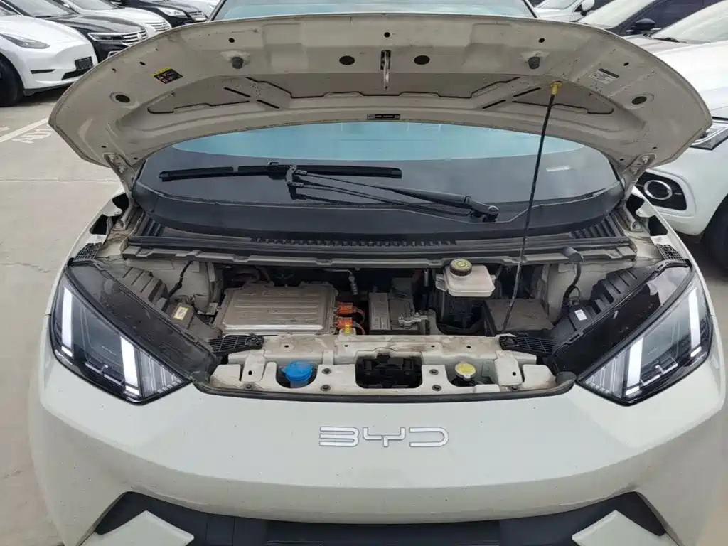 BYD Seagull — фото 19