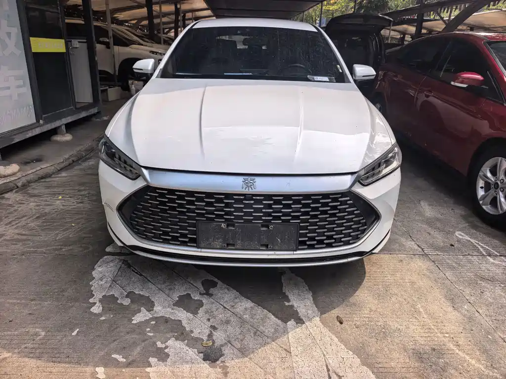 BYD Qin PLUS — фото 2