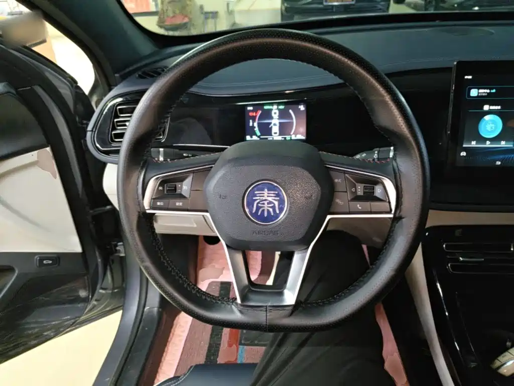 BYD Qin PLUS — фото 11