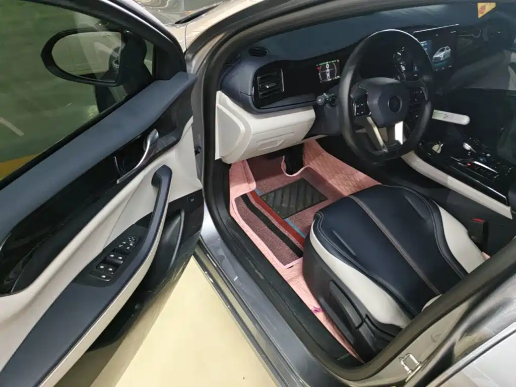BYD Qin PLUS — фото 16