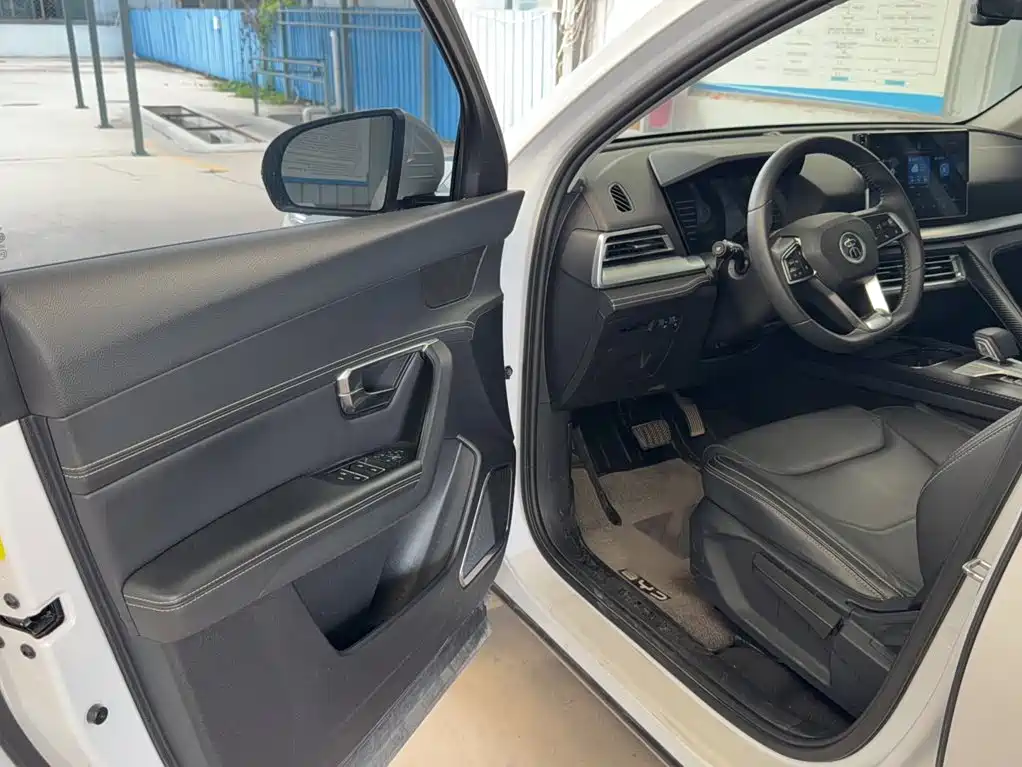 BYD Pro — фото 19