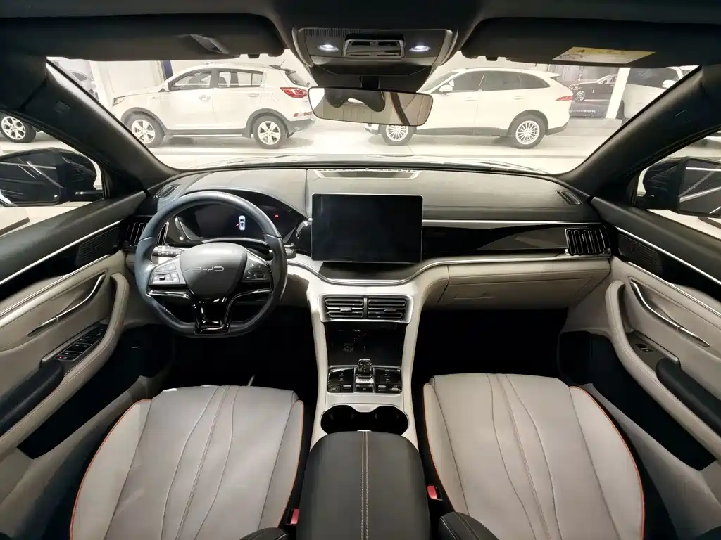 BYD PLUS New Energy — фото 11