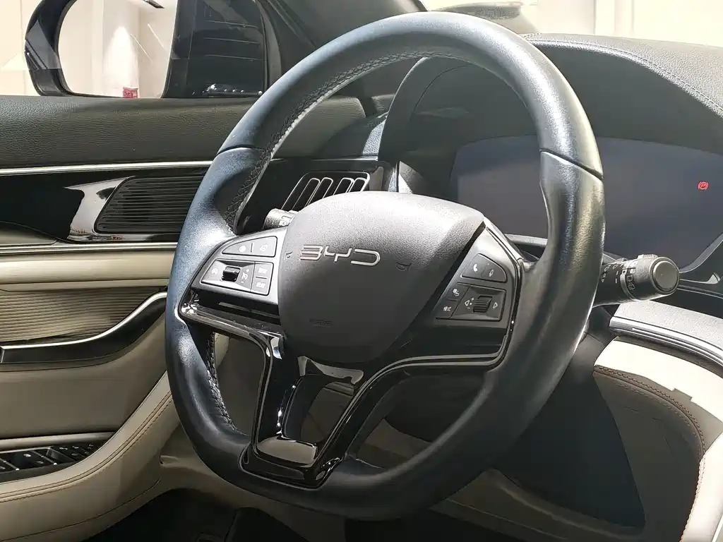 BYD PLUS New Energy — фото 13