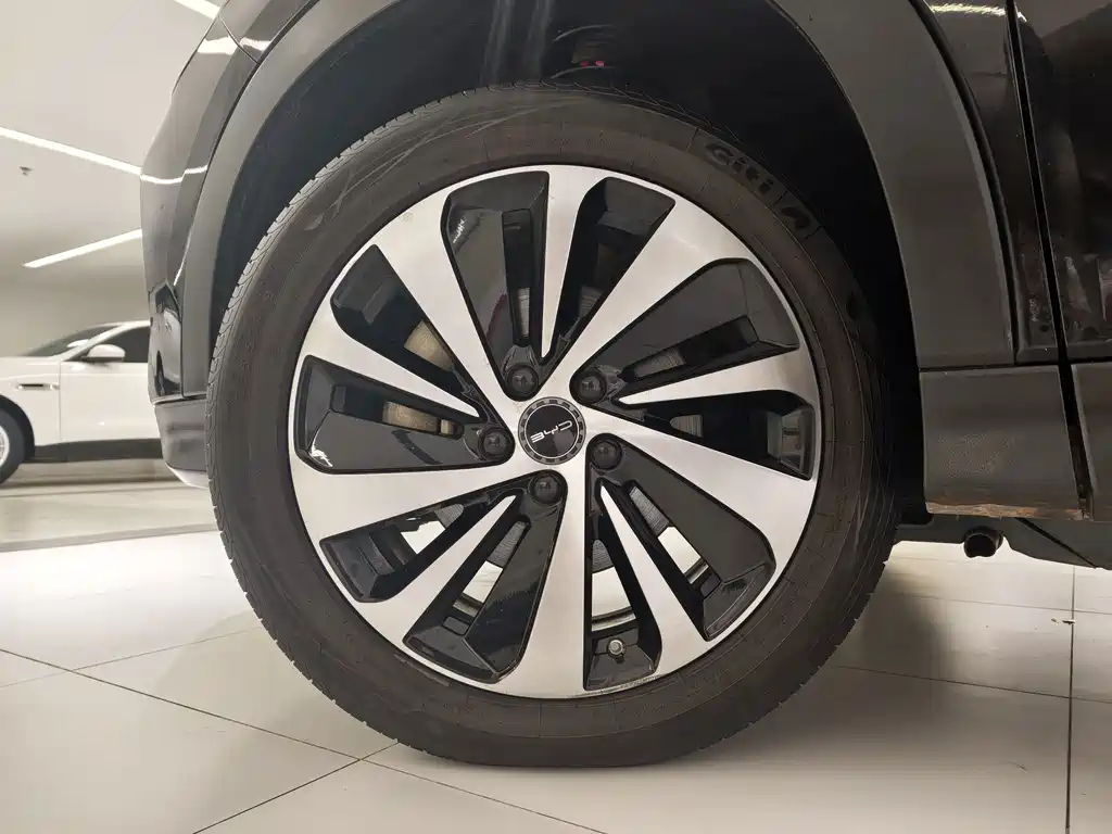 BYD PLUS New Energy — фото 15