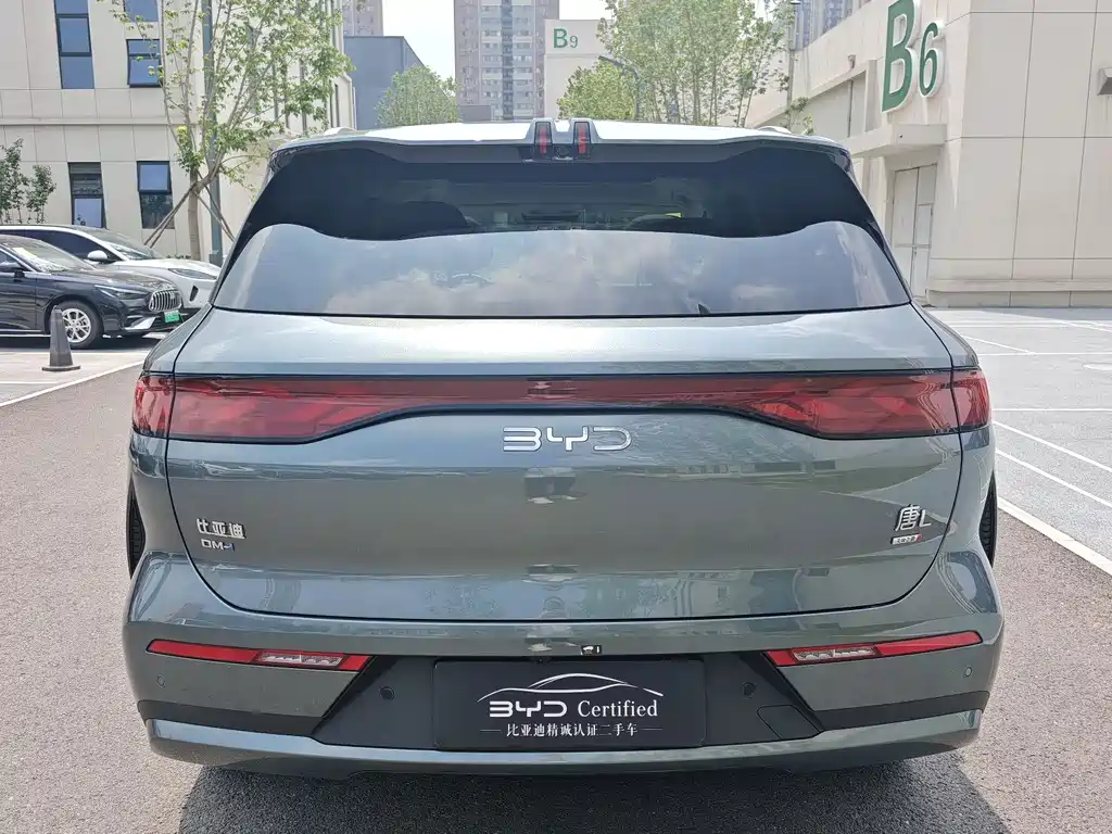 BYD Tang L — фото 10