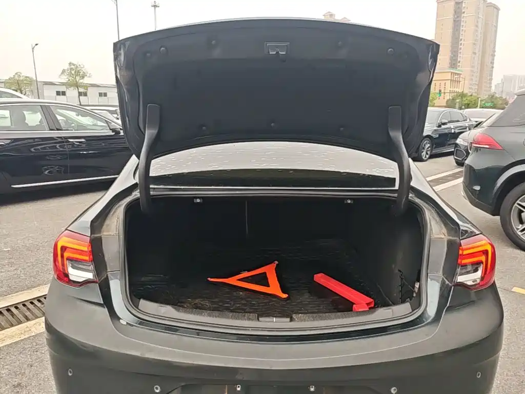 Buick Regal — фото 18