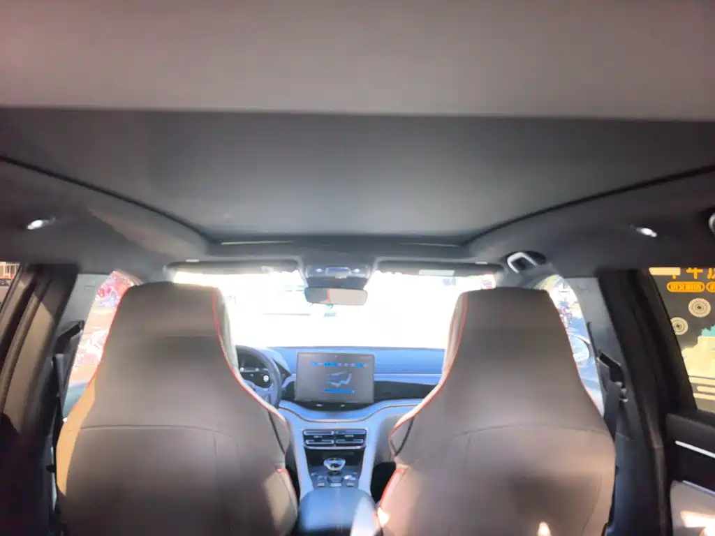 BYD PLUS New Energy — фото 18