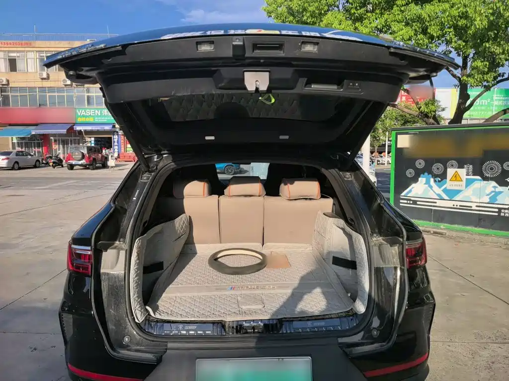 BYD PLUS New Energy — фото 19