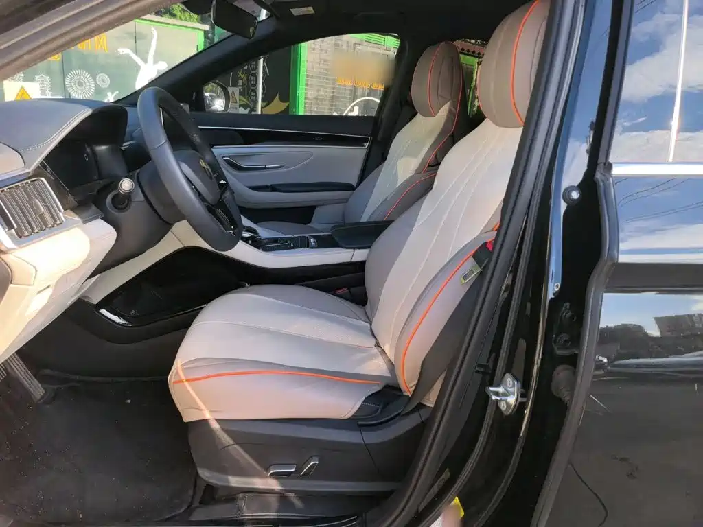 BYD PLUS New Energy — фото 20