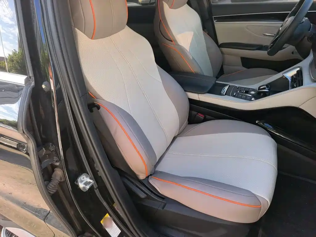 BYD PLUS New Energy — фото 3