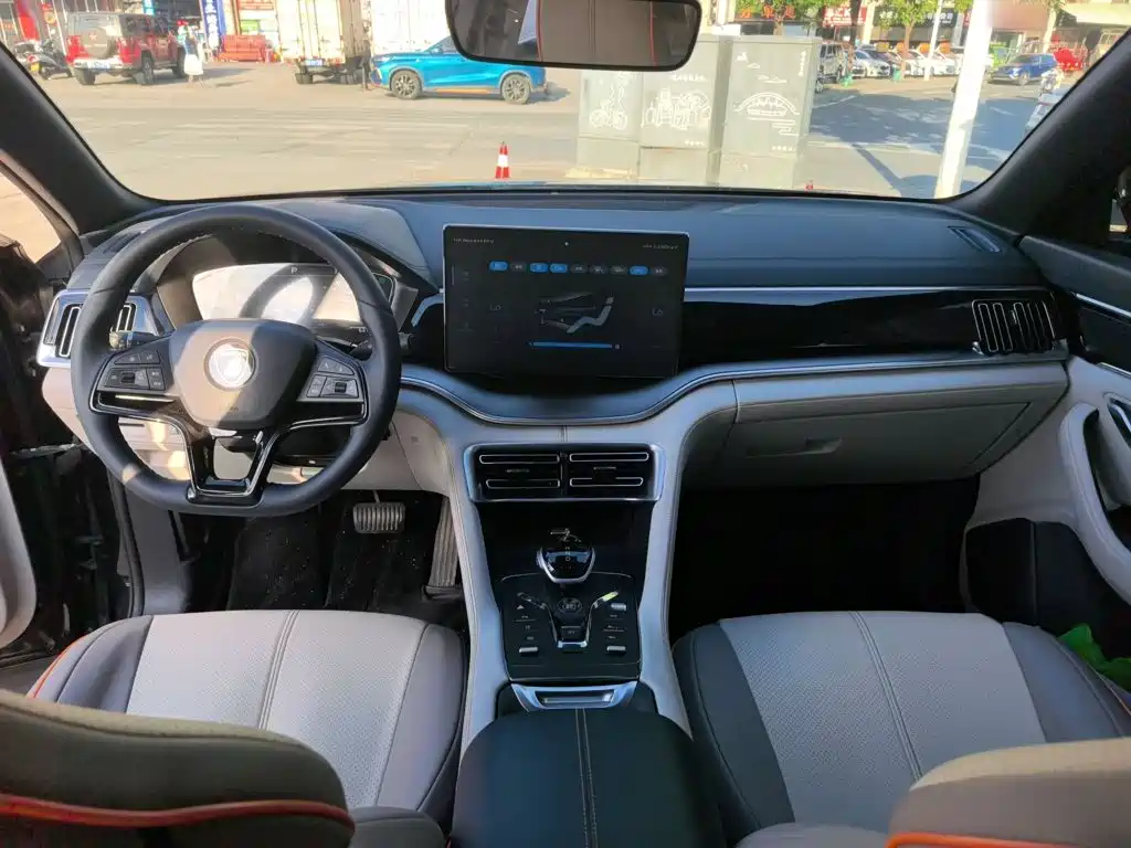 BYD PLUS New Energy — фото 23