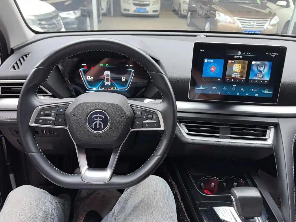 BYD Pro — фото 10