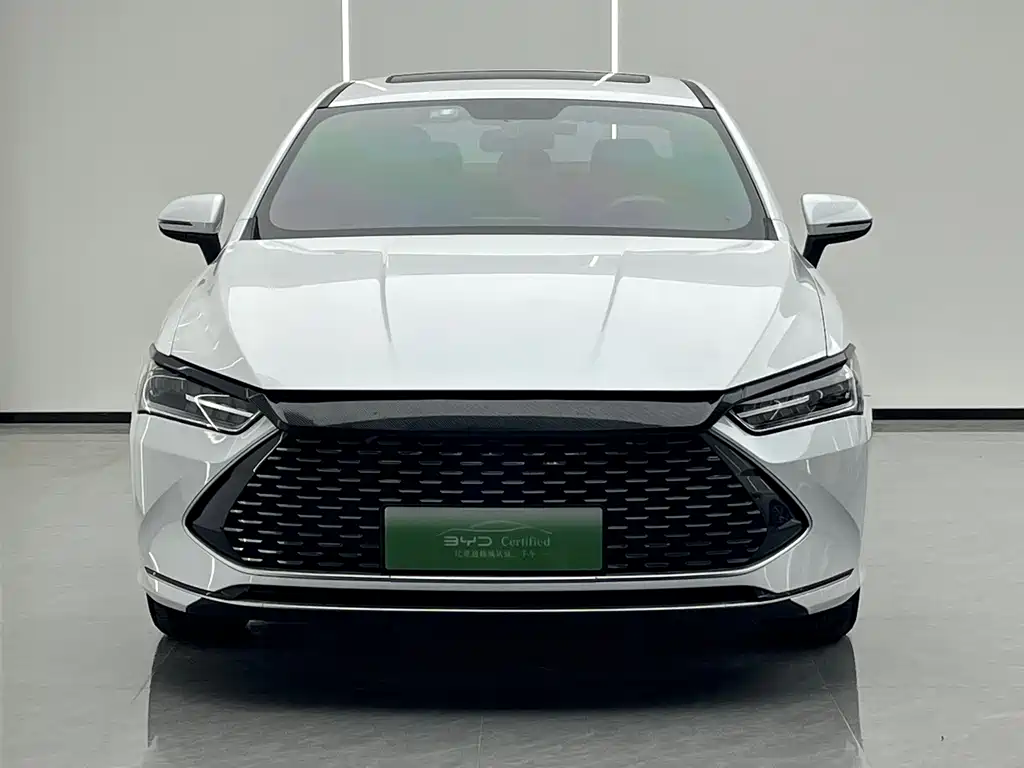 BYD Qin PLUS — фото 2