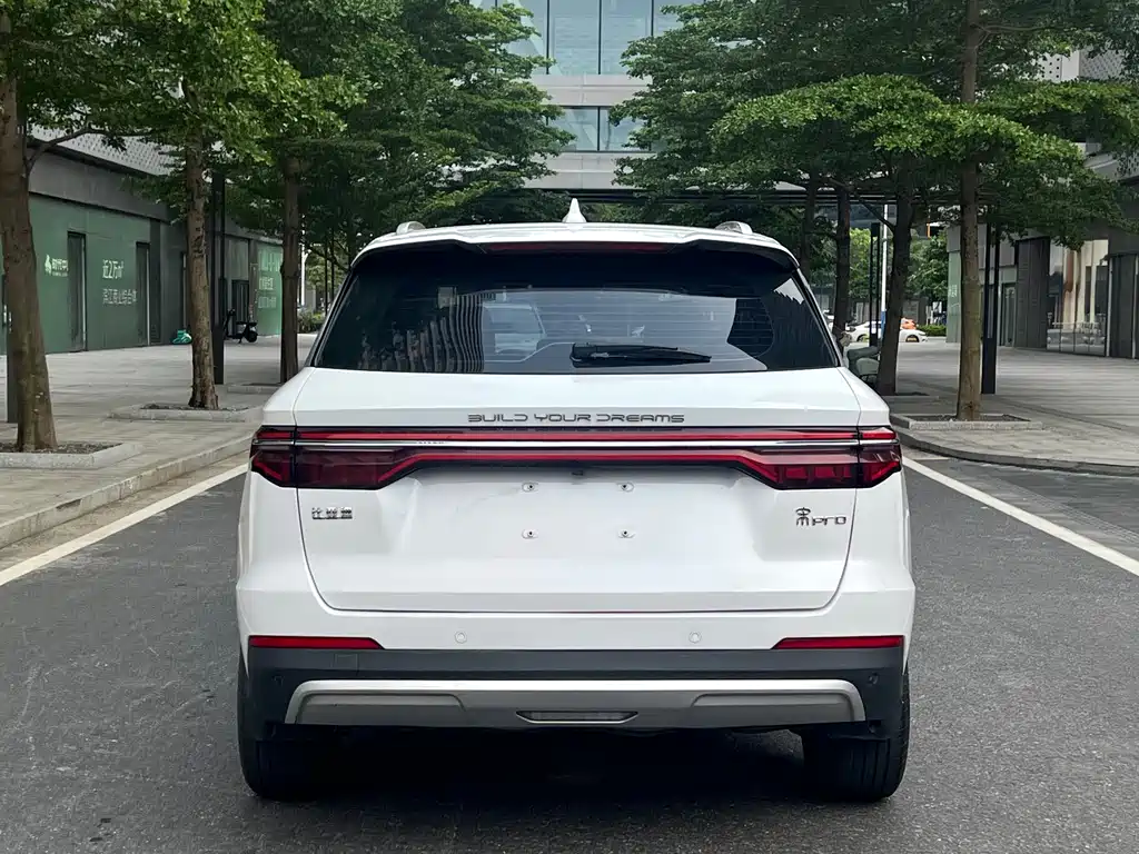 BYD Pro — фото 4
