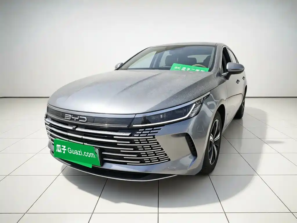 BYD Destroyer 05 — фото 2