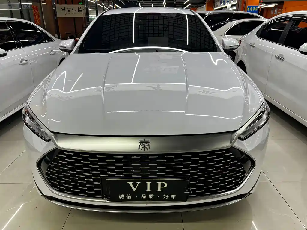 BYD Qin PLUS — фото 2