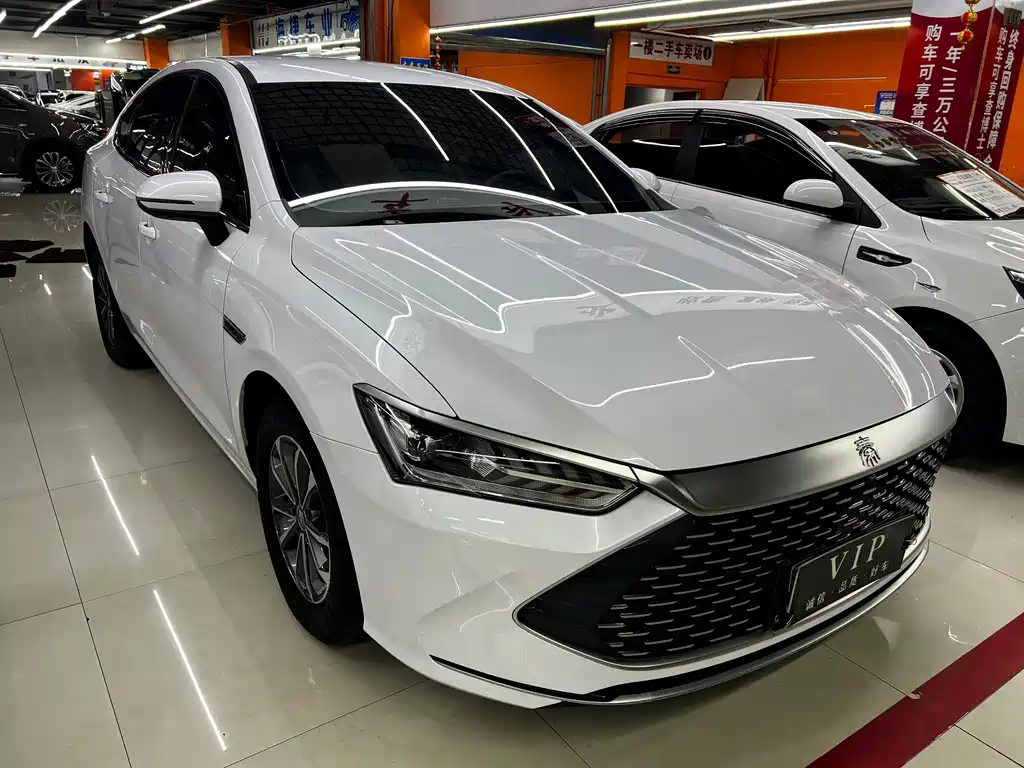 BYD Qin PLUS — фото 3