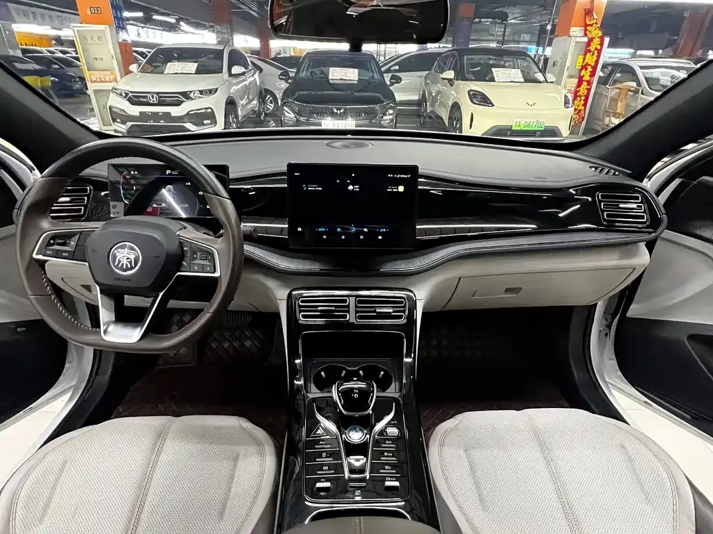 BYD Qin PLUS — фото 8