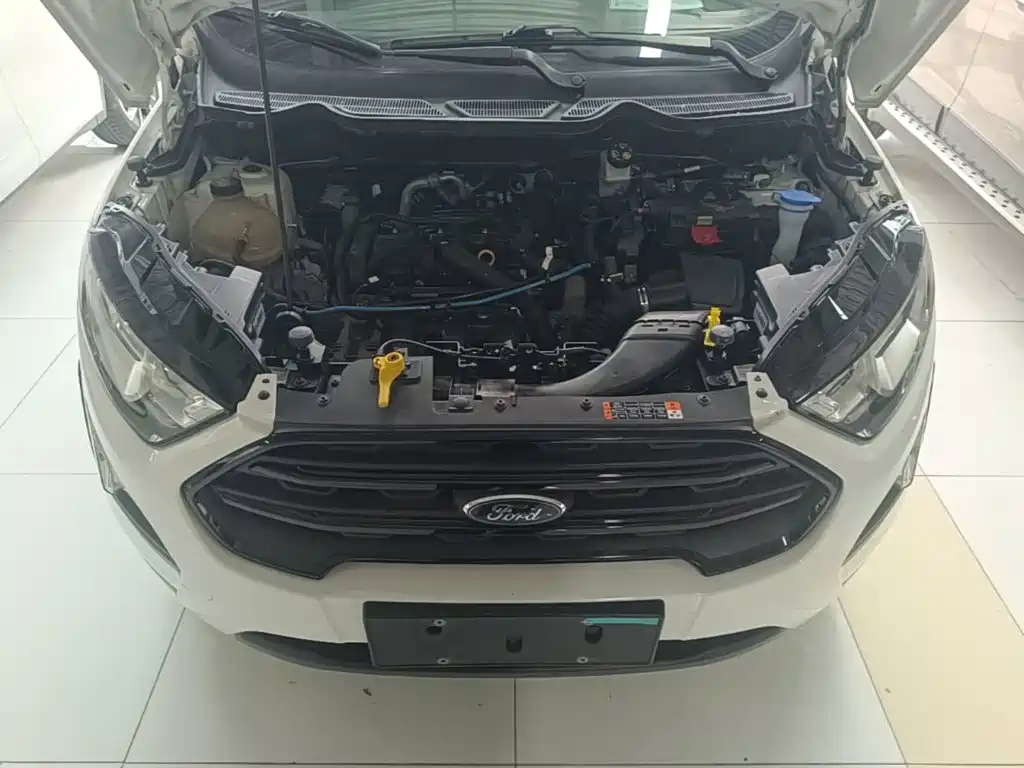 Ford Ecosport — фото 19
