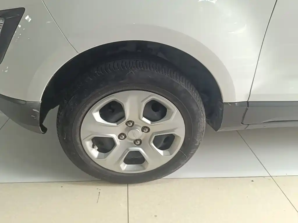 Ford Ecosport — фото 22