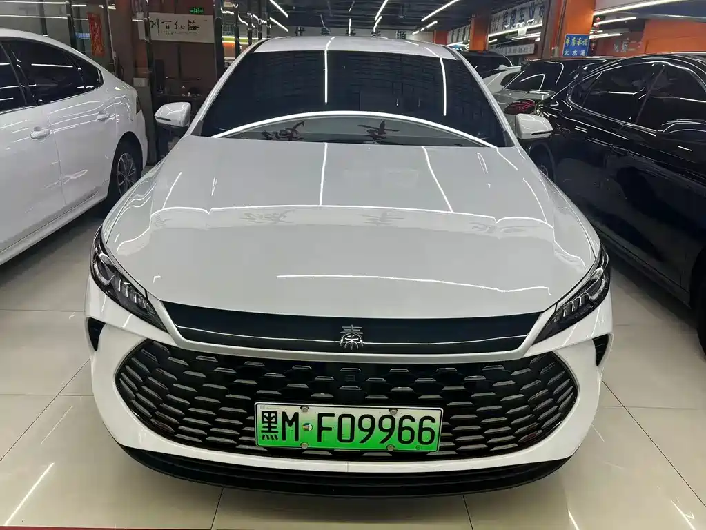 BYD Qin PLUS — фото 2