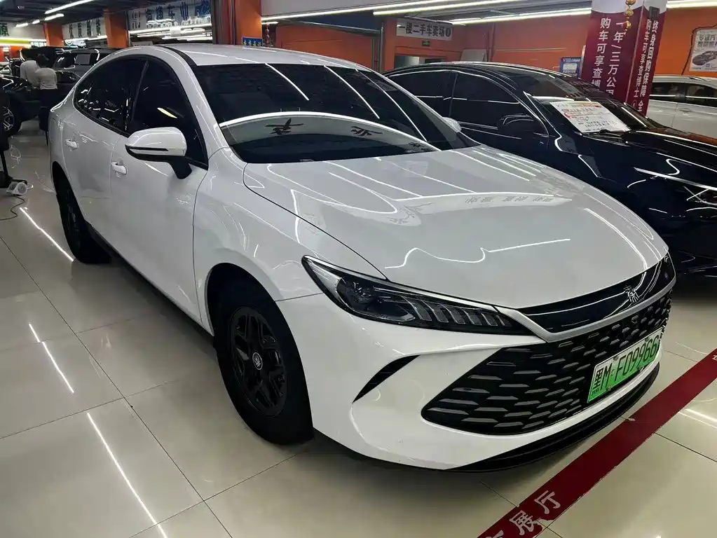 BYD Qin PLUS — фото 3