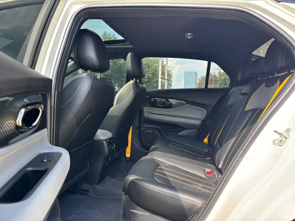 GAC Motor Shadow Leopard — фото 8
