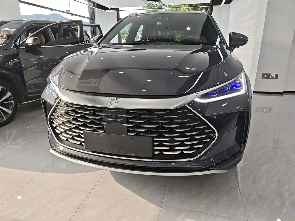 BYD Tang New Energy — фото 2