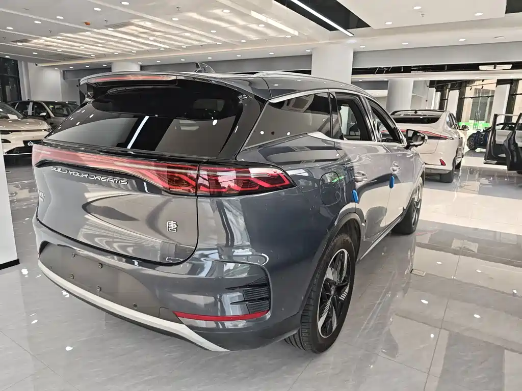 BYD Tang New Energy — фото 8