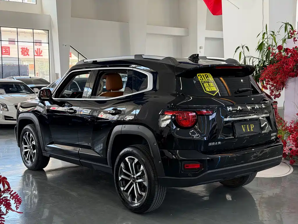 Haval Big Dog PLUS — фото 8